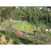 Day 03 (Hill Stations of South India 6 NIGHTS 7 DAYS) ooty_rosegarden.jpg